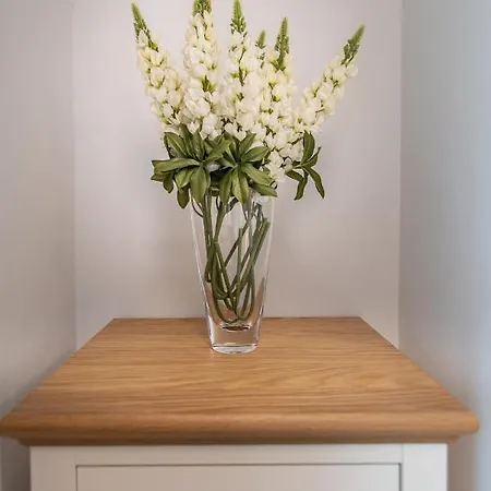 公寓 En Milla Oro *